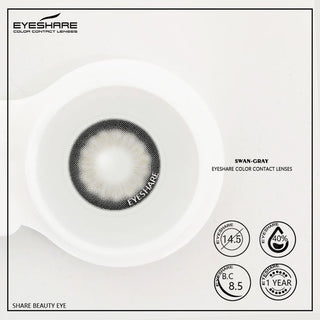 EYESHARE Color Contact Lenses for Eyes 2pcs Natural Brown Contact Lenses Gray Blue Lenses Yearly Beautiful Pupil Contact Lenses Alodia Store