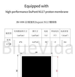 Bluevida 99.99% High Purity Hydrogen Inhalation Machine Low Noise Make Hydrogen Water H2 Inhalation Generator SPE/PEM 150ml/m alodia store
