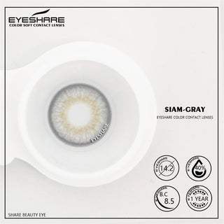 EYESHARE Natural Color Lens Eyes 2pcs Color Contact Lenses For Eye Blue Beauty Contact Lenses Eye Yearly Cosmetic Color Lens Alodia Store