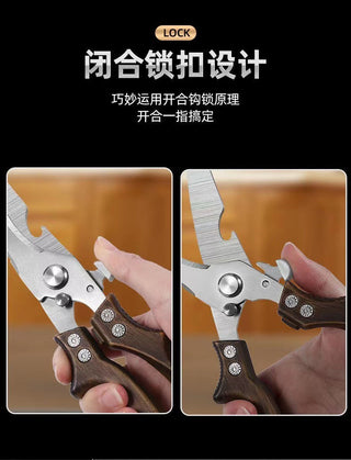 Stainless Steel Kitchen Scissors Alodia Store