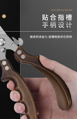 Stainless Steel Kitchen Scissors Alodia Store