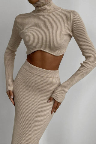 Chic Women Knitted Set Crop Tops and Skirt Clothing Alodia Store
