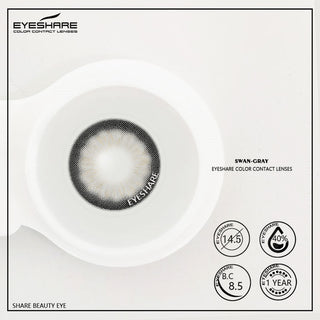 EYESHARE Natural Color Lens Eyes 2pcs Color Contact Lenses For Eye Blue Beauty Contact Lenses Eye Yearly Cosmetic Color Lens Alodia Store