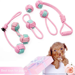 Pet Dog Chew Toys ALODIA STORE