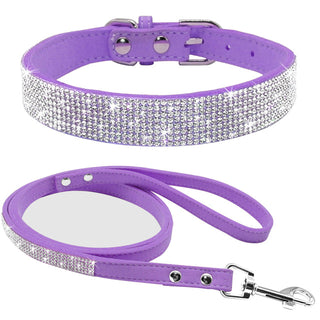 Pet Collar ALODIA STORE