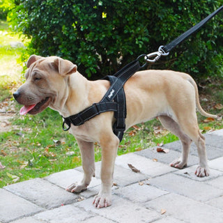 Adjustable Dog Harness ALODIA STORE