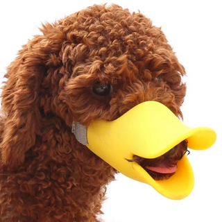Pet Muzzle ALODIA STORE