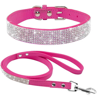 Pet Collar Leash Set ALODIA STORE