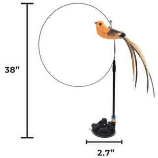 Bird Simulation Teaser ALODIA STORE