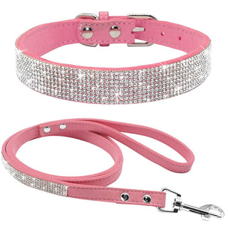 Pet Collar ALODIA STORE