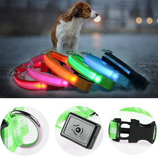 Adjustable LED Glowing Pet Collar ALODIA STORE