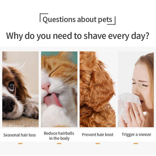 Cat Grooming Brush ALODIA STORE