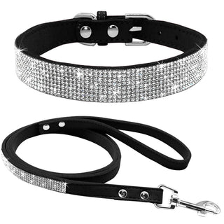 Pet Collar ALODIA STORE