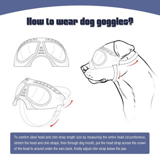 Soft Frame Puppy Glasses ALODIA STORE