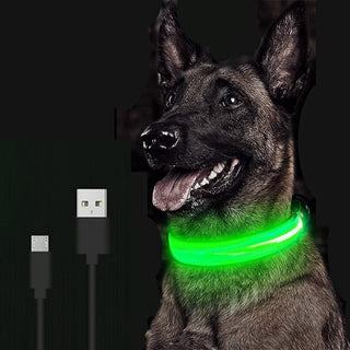 Adjustable LED Glowing Pet Collar ALODIA STORE
