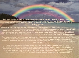 Rainbow Bridge Pet Loss Necklace ALODIA STORE