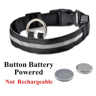 Adjustable LED Glowing Pet Collar ALODIA STORE