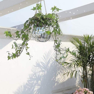 Disco Ball Flower Hanging Vase ALODIA STORE