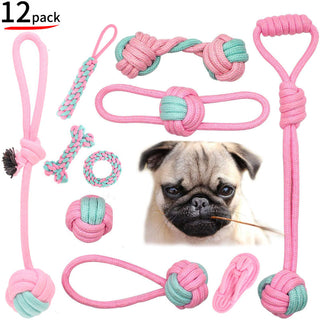 Pet Dog Chew Toys ALODIA STORE