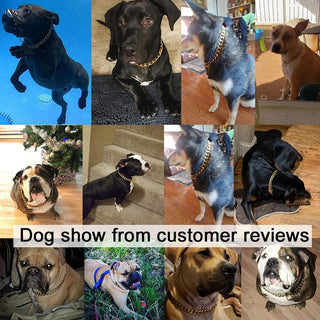 18K Gold Cuban Link Chain Collar for Dogs ALODIA STORE