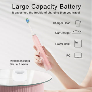 Electric Toothbrush IPX7 Replacement Heads Set ALODIA STORE