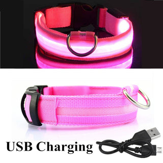 Adjustable LED Glowing Pet Collar ALODIA STORE