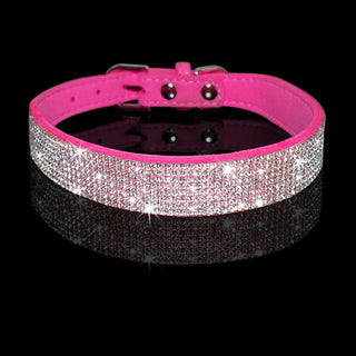 Pet Collar ALODIA STORE