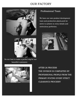 WHIMSICAL W Synthetic Women Mixed Blonde Brown Short Wigs Natural Hair Wigs Heat Resistant Hair Wig for Women ALODIA STORE