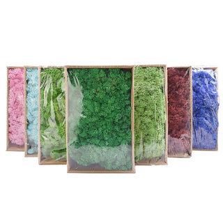 20/40g Artificial Green Plants Eternal Life Moss Grass Home Living Room Garden Decoration Mini Landscape Fake Flower DIY Crafts ALODIA STORE