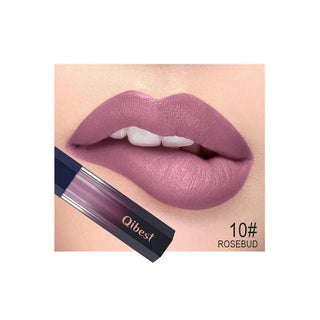 QIBEST Lip Gloss Makeup Moisturizer Waterproof 12 Colors Makeup Lipstick Long Lasting Liquid Lipstick Lip Tint Cosmetics TLSM2 - Alodia Store