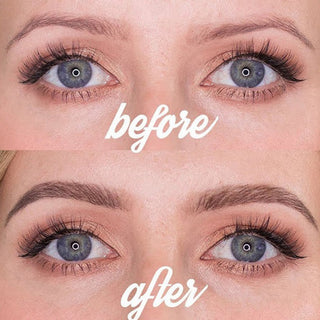 5 Colors Dark Brown 4 Point ALODIA STORE