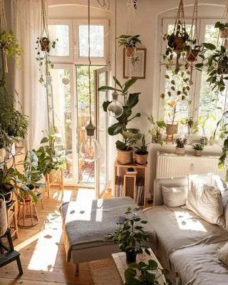 Big Macrame Hanging Planter Hanging Pot Plant Pot Macrame Plant Hangers Air Plant Holder Plant Hanging Decoration ALODIA STORE
