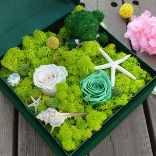 20/40g Artificial Green Plants Eternal Life Moss Grass Home Living Room Garden Decoration Mini Landscape Fake Flower DIY Crafts ALODIA STORE