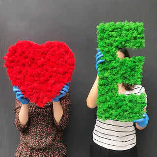 20g Artificial plant eternal life moss / Garden home decoration wall DIY Flower material Mini Garden Micro Landscape Accessories ALODIA STORE