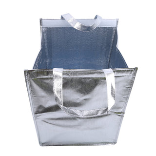 1Pcs Aluminum Foil Ice Storage Bags foldable ALODIA STORE