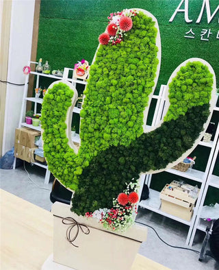 20g Artificial plant eternal life moss / Garden home decoration wall DIY Flower material Mini Garden Micro Landscape Accessories ALODIA STORE