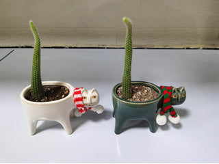 Cartoons Cat Flowerpot Animal Ceramic Flowerpot Cute Vase Cactus Succulent Plants Potted  Flower Arrangement Home Decoration ALODIA STORE