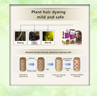 Sevich Hair Dyeing Lotion DIY Hair Styling Coloring Molding Shampoo 5pcs/lot Hair Colour Shampoo Fast Hair Dye Shampoo For Women ALODIA STORE