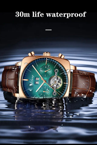 AILANG new watch men's automatic mechanical watch waterproof tourbillon black technology luminous fashion men's watch ALODIA STORE