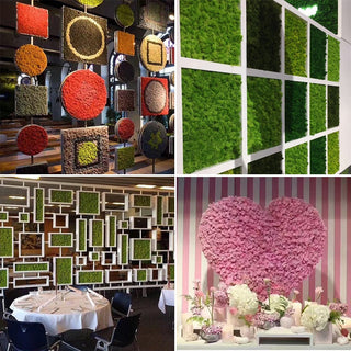 20/40g Artificial Green Plants Eternal Life Moss Grass Home Living Room Garden Decoration Mini Landscape Fake Flower DIY Crafts ALODIA STORE