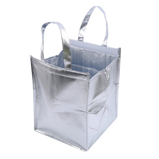 1Pcs Aluminum Foil Ice Storage Bags foldable ALODIA STORE