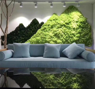 20g Artificial plant eternal life moss / Garden home decoration wall DIY Flower material Mini Garden Micro Landscape Accessories ALODIA STORE