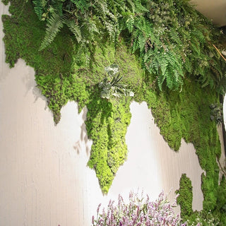 20/40g Artificial Green Plants Eternal Life Moss Grass Home Living Room Garden Decoration Mini Landscape Fake Flower DIY Crafts ALODIA STORE