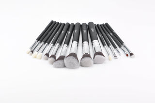 15pcs Makeup Brushes set ALODIA STORE