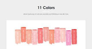 FOCALLURE 11 Color Blush Palette Makeup ALODIA STORE