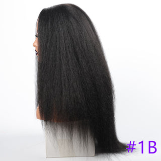 Long Kinky Straight Synthetic Wigs for Black Women Black Brown Blonde Ginger Red White Hair Afro Wigs Synthetic STW Hair Wigs ALODIA STORE