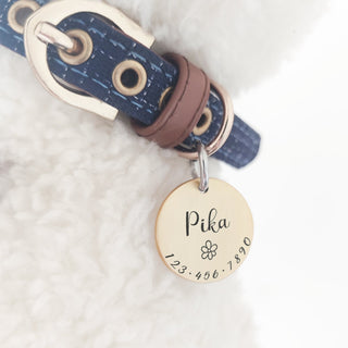 Personalized Pet Cat Dog ID Tag Collar Accessories MW001 Custom Engraved Necklace Chain Charm Supplies For Dog Tag Name Products ALODIA STORE