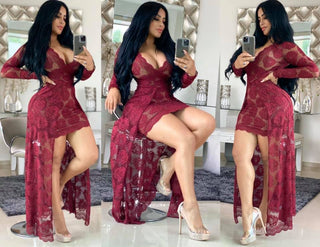 Adogirl Embroidery Floral Lace Dress Women Sexy See Through Long Sleeve Bodycon Women Dress Vintage Club Wear Party Dress Robe ALODIA STORE