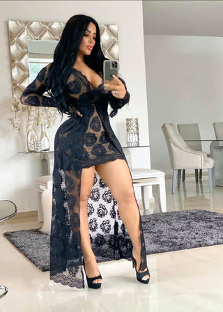 Adogirl Embroidery Floral Lace Dress Women Sexy See Through Long Sleeve Bodycon Women Dress Vintage Club Wear Party Dress Robe ALODIA STORE