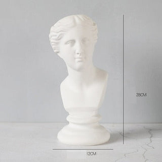 Nordic Creative Portrait Vase Human Head Resin David Medici Venus Statue Modern Nordic Decoration Decoration Home Decoration ALODIA STORE